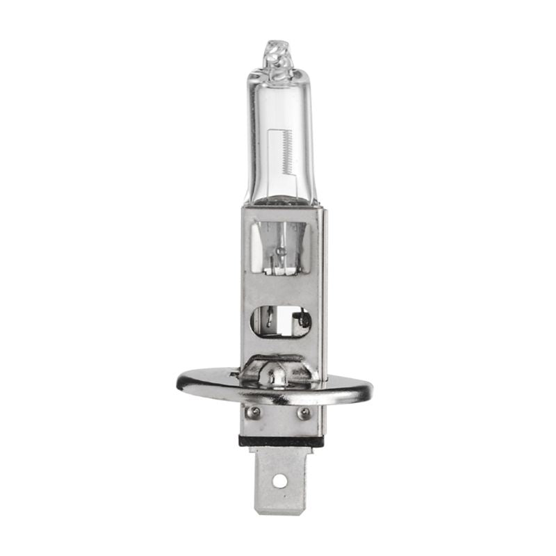 H1 Halogen Globe – 12V 55W P14.5S Standard Boxed Single