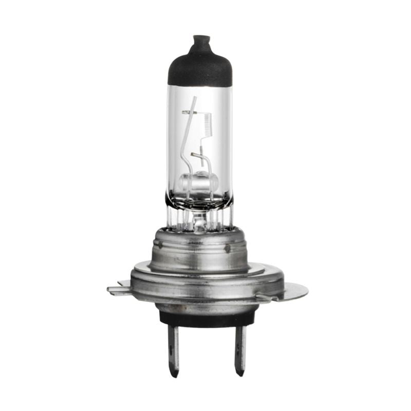 H7 Halogen Globe – 24V 70W PX26d Base Single