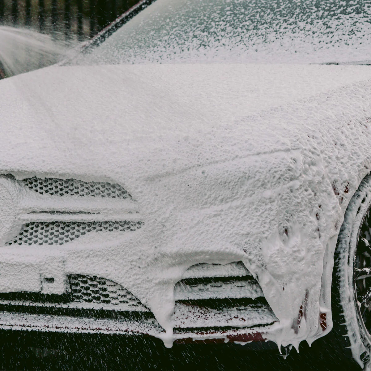 Snow Foam Berry Thick Detergent