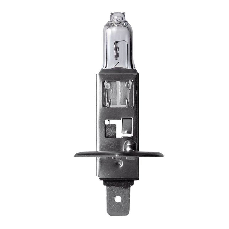Philips MasterDuty H1 Globe Light