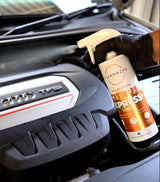 All-Purpose Citrus Xpress Cleaner - Image 3